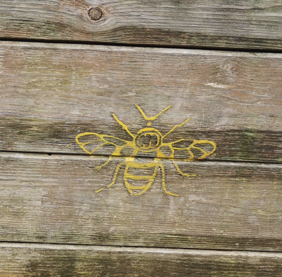 Close up of bee on memorial bench in St. John's Gardens