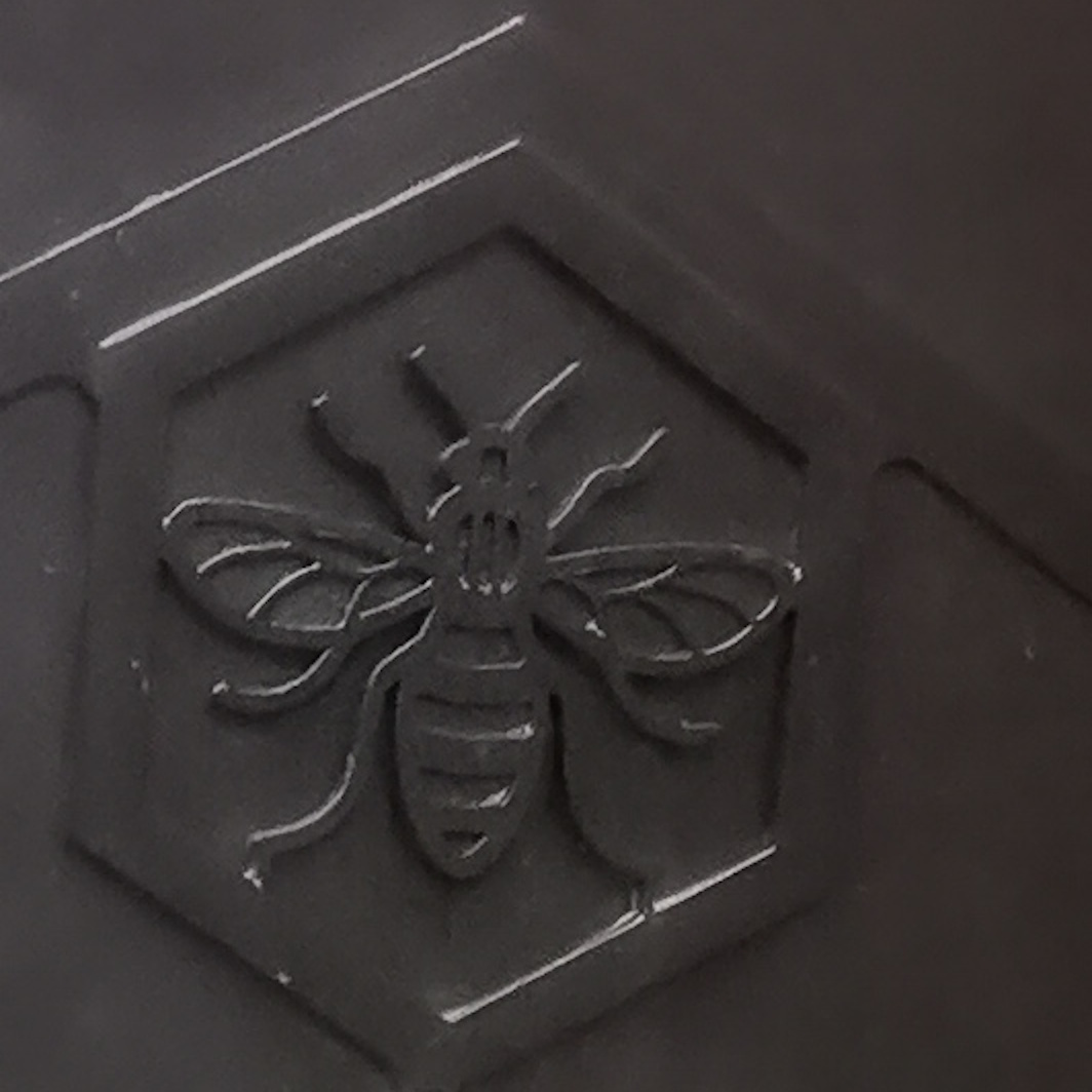 Close up of bee on big black cabinet, Albert Square