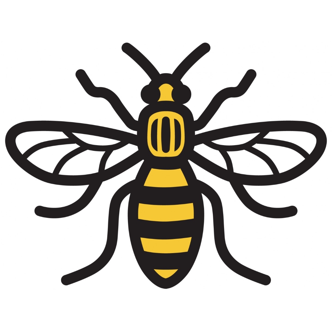 Post your Manchester bee photos on X with #ManchesterCircularBees