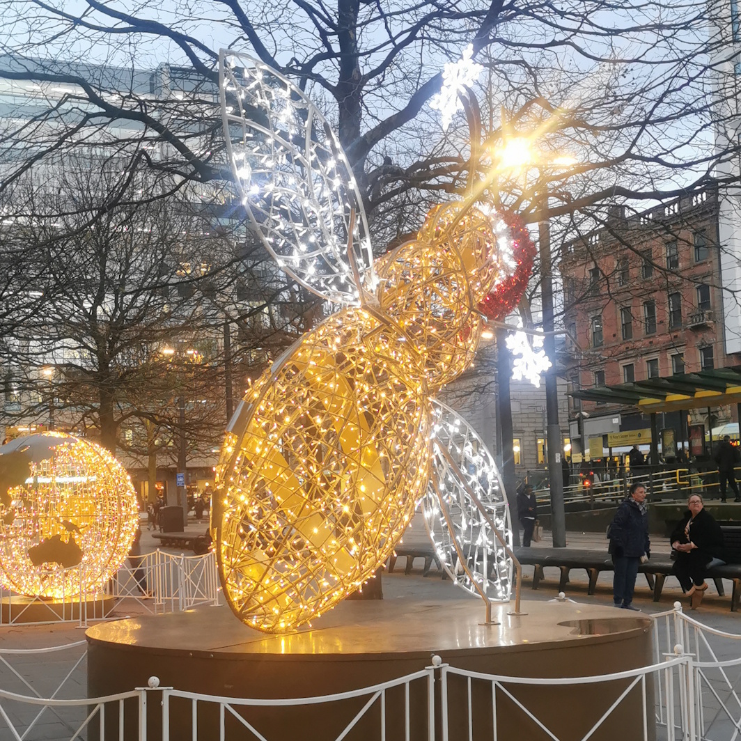 Christmas bee in St Peter’s Square, 2025