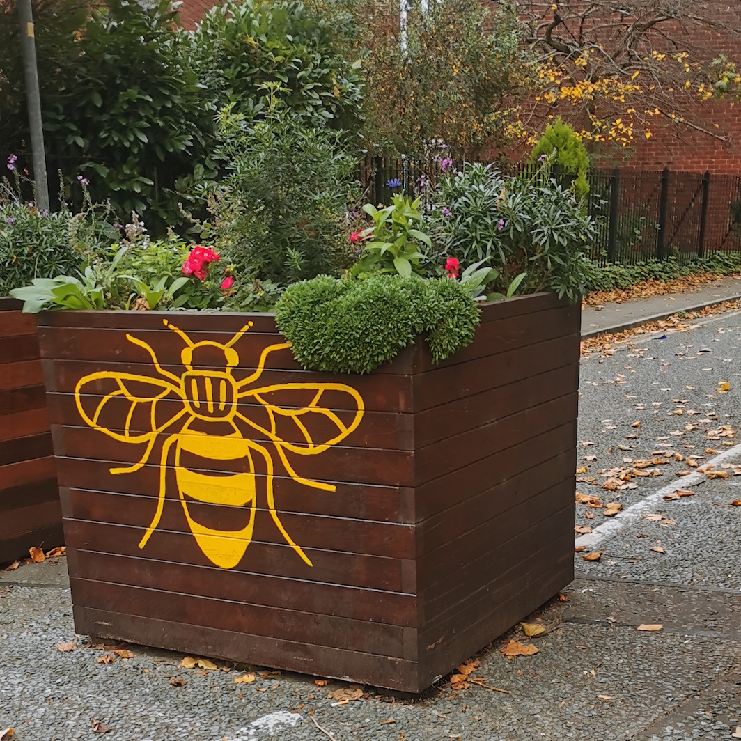 Bee on planter Frederick Street, Salford